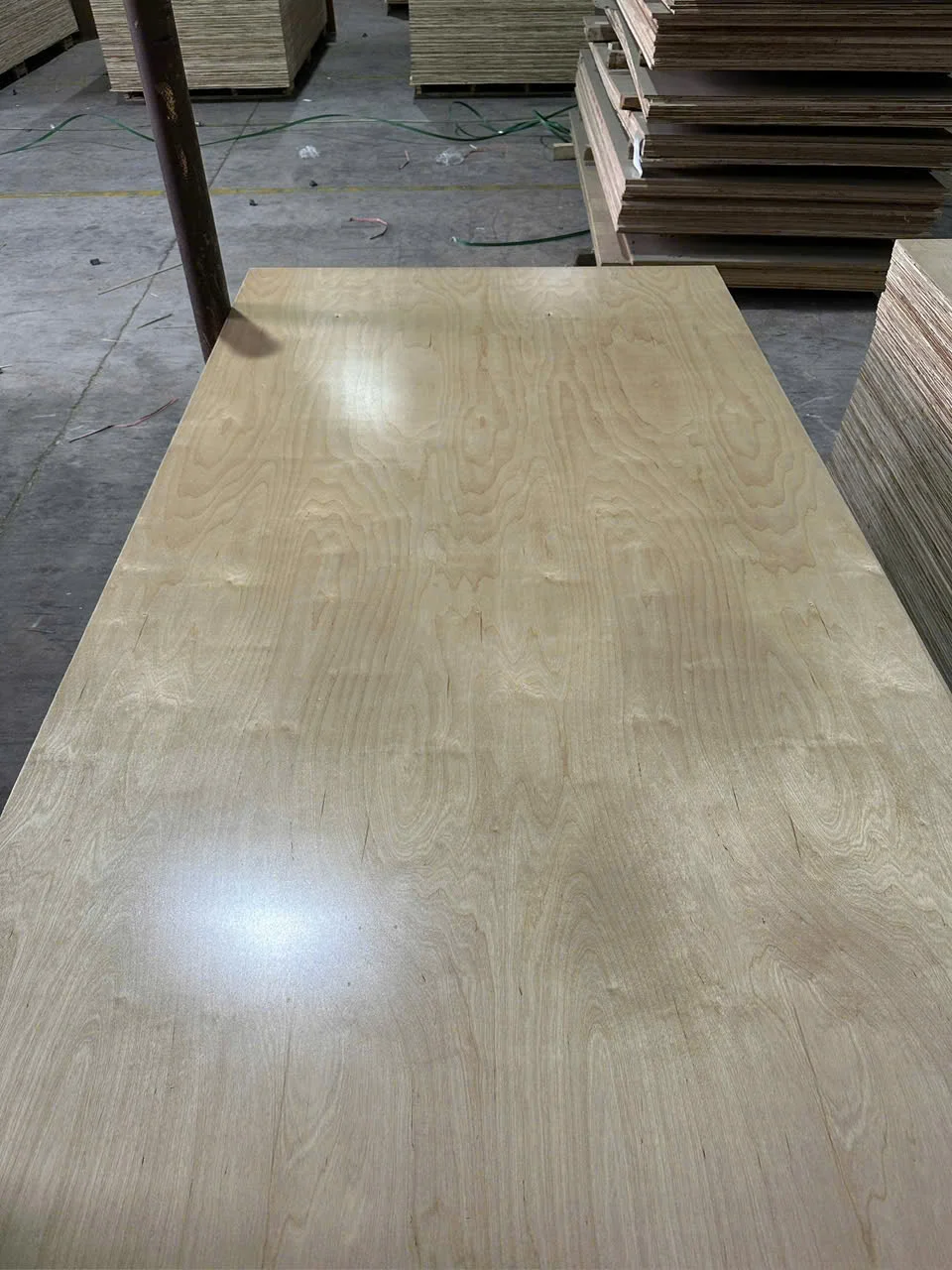 Birch UV coated plywood Vietnam export-ready panel HCPLY