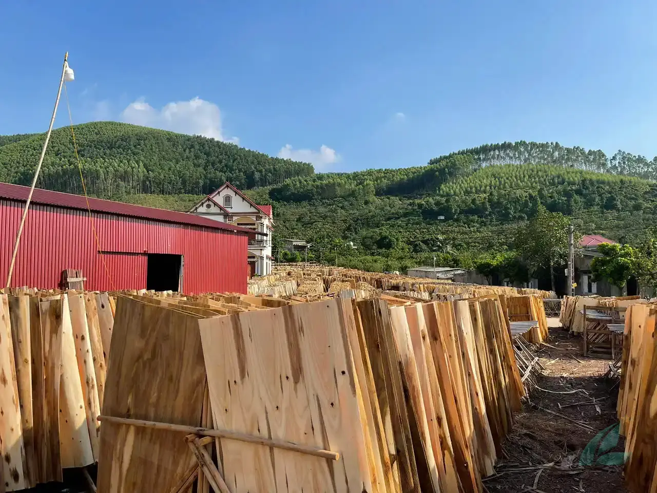 Acacia core veneer sheets Vietnam — showing stitched core construction quality hcply