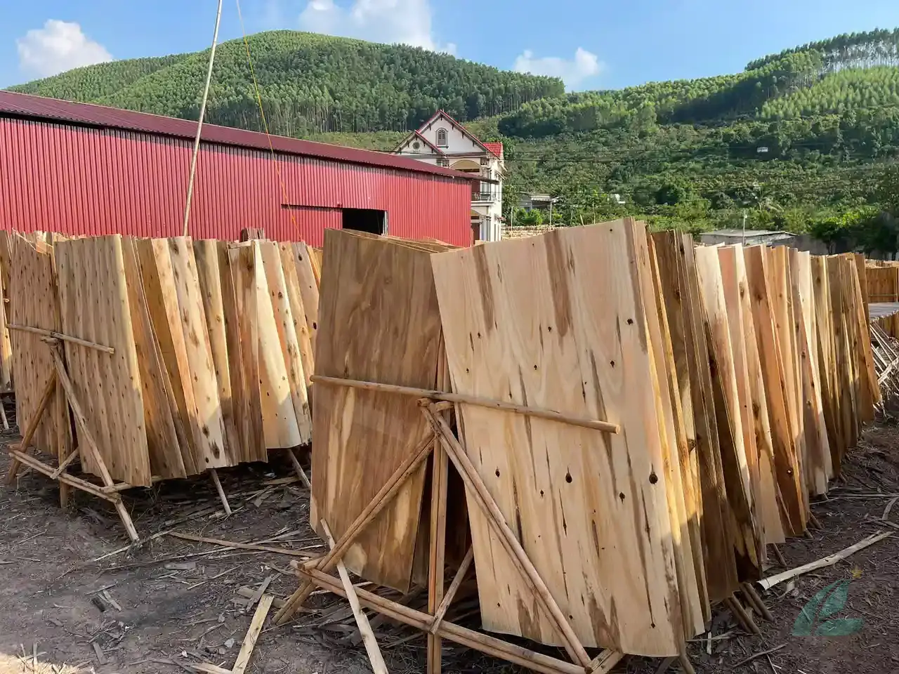 acacia core veneer sheets vietnam factory grade a export hcply