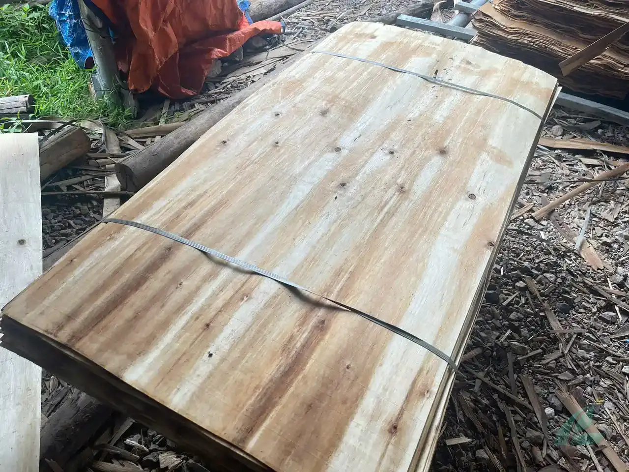 acacia core veneer vietnam export quality hcply plywood factory grade a