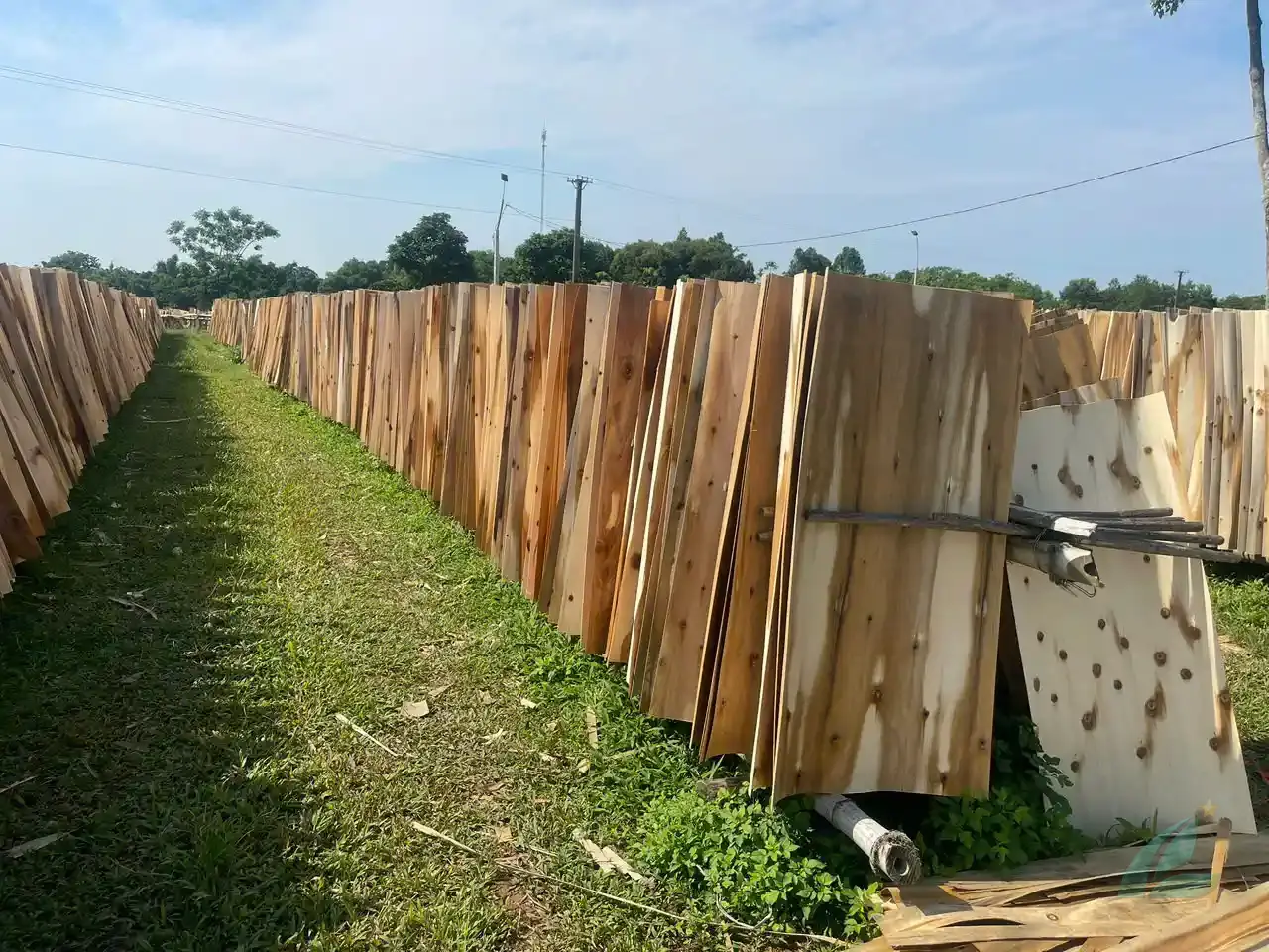 Acacia core veneer sheets Vietnam export grade HCPLY factory