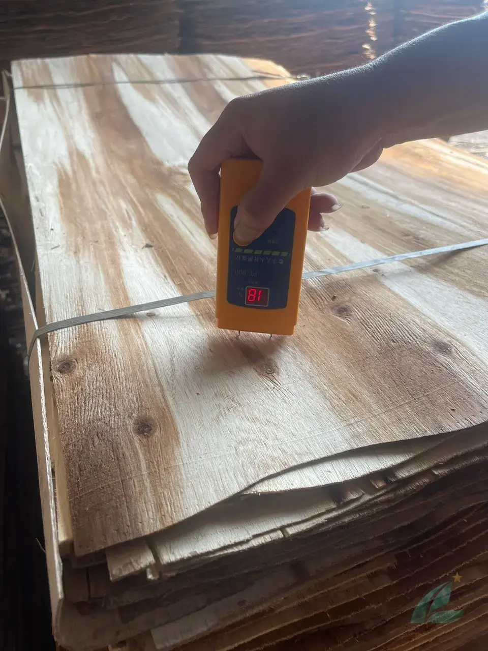 Acacia core veneer Vietnam export grade A plywood HCPLY production facility