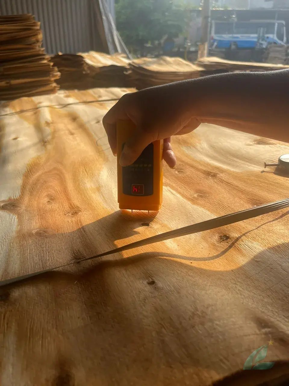 acacia core veneer vietnam export grade a plywood factory hcply