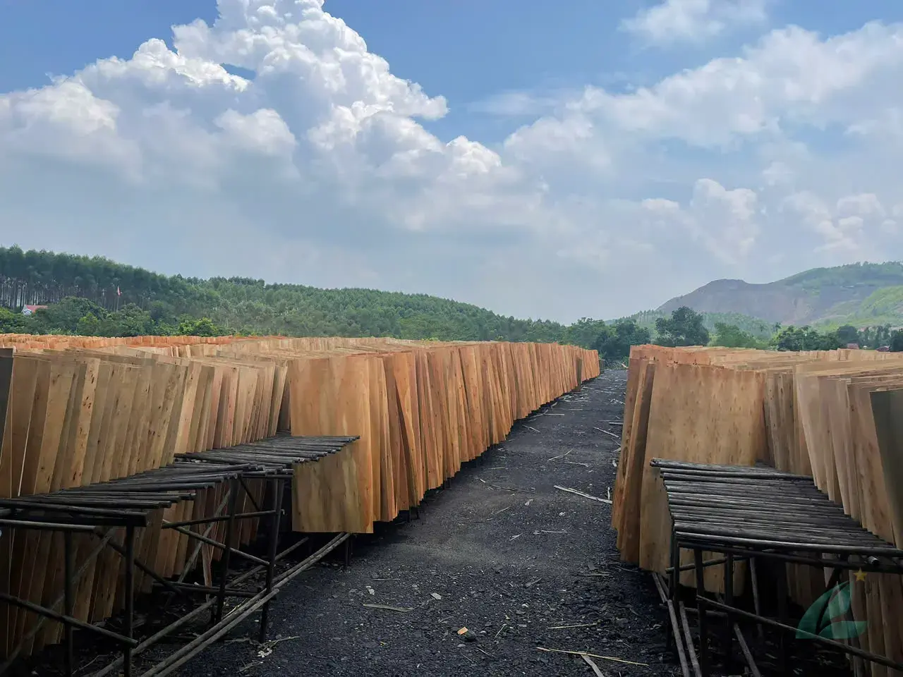 Core Veneer vietnam plywood furniture hcply