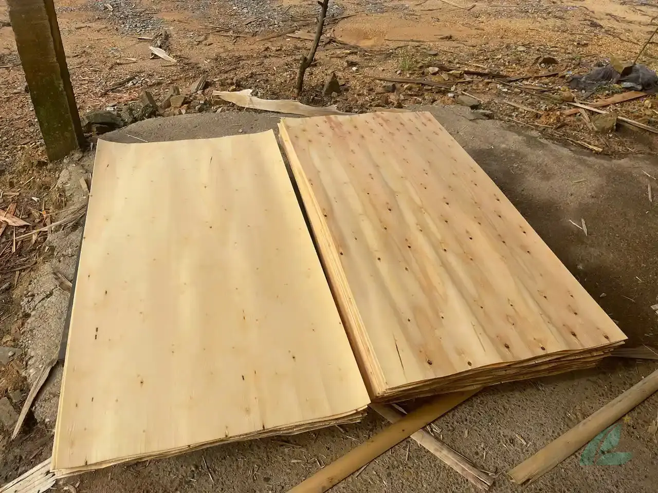 eucalyptus core veneer vietnam export high density quality inspection hcply