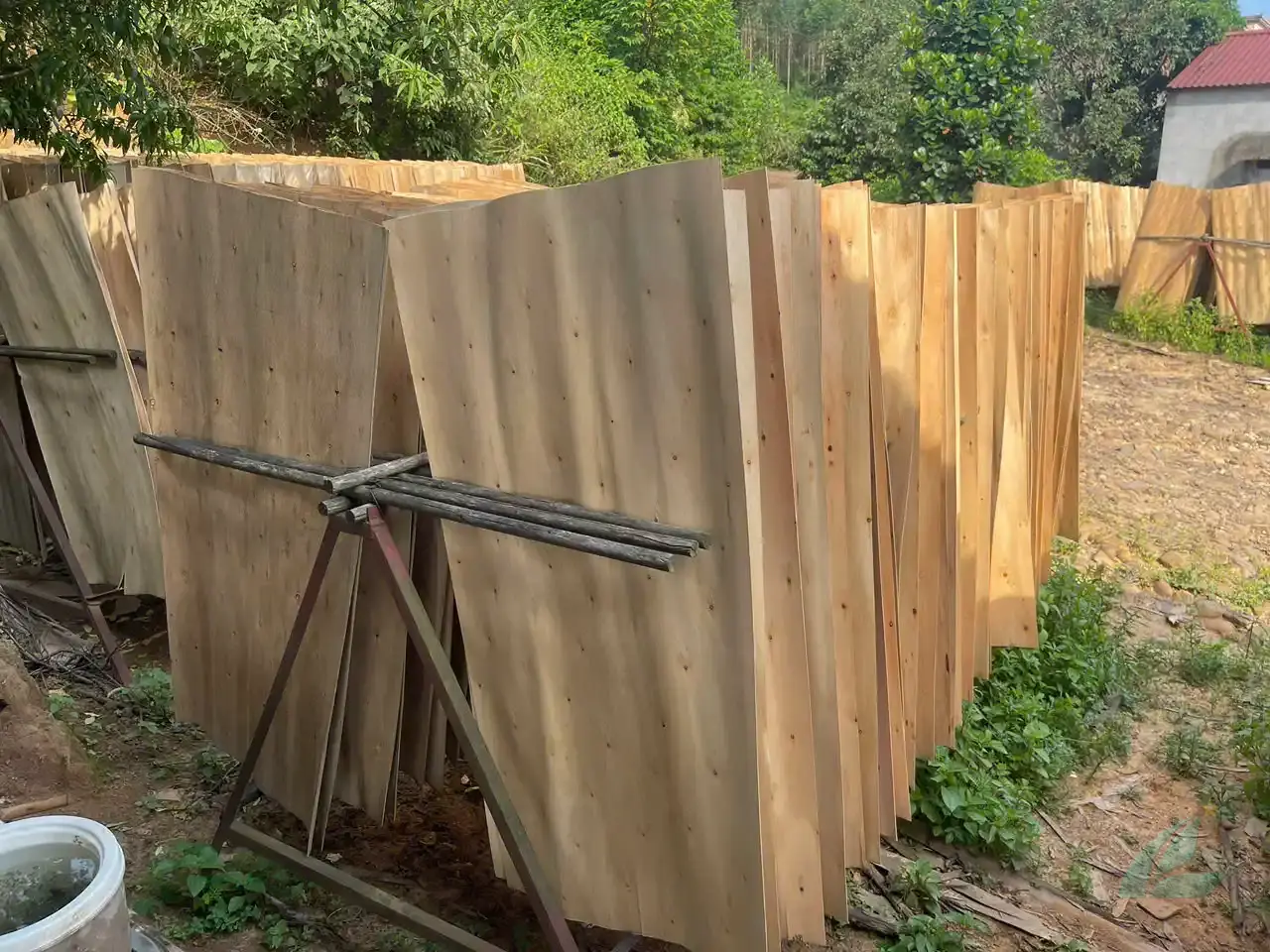 eucalyptus core veneer vietnam export high density quality hcply production plywood factory