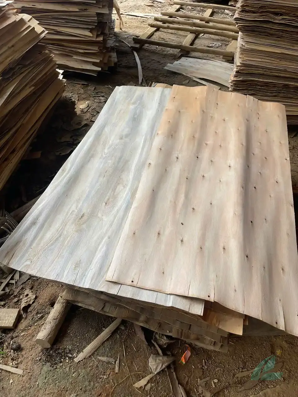 eucalyptus core veneer vietnam high density export sheets hcply factory quality control
