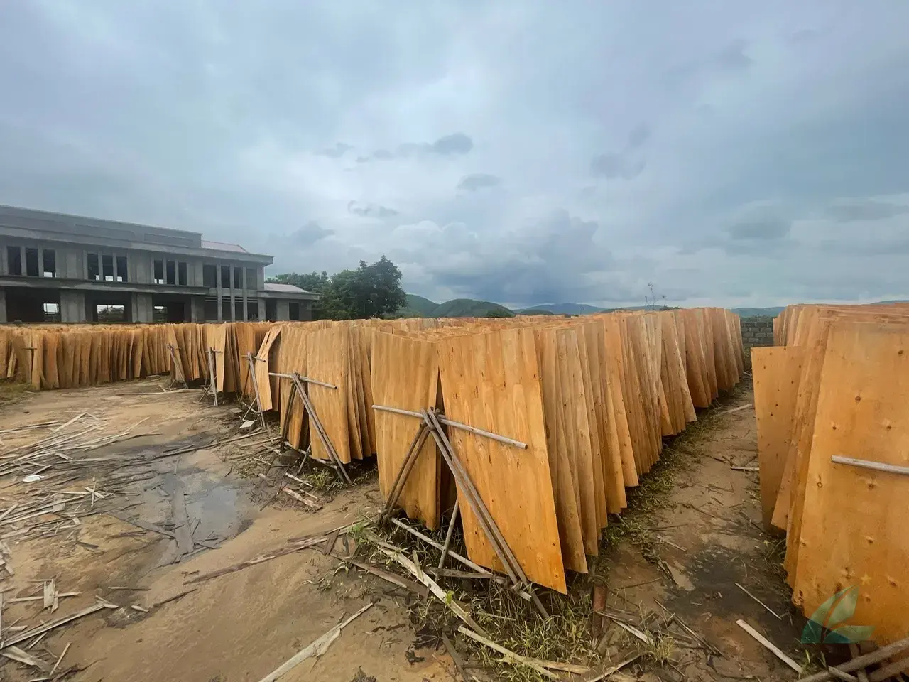 eucalyptus core veneer sheets high density vietnam plywood export quality hcply