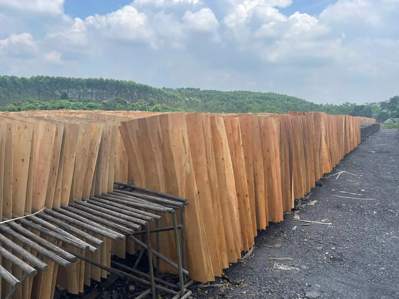 Eucalyptus Plywood vietnam plywood export hcply