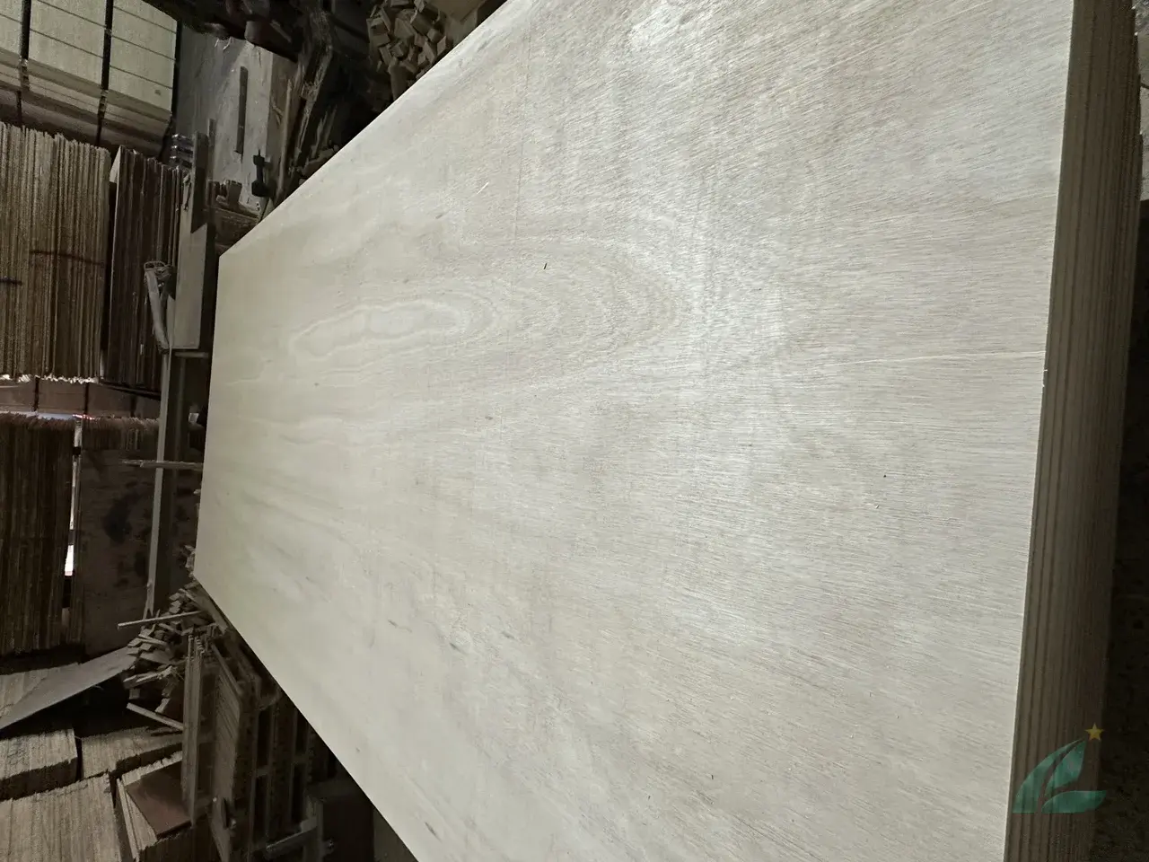 Eucalyptus Plywood vietnam plywood furniture hcply