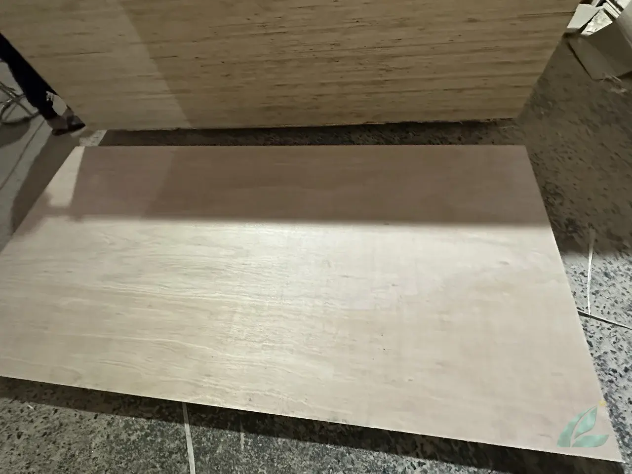 Eucalyptus plywood Vietnam export hardwood grade hcply 004