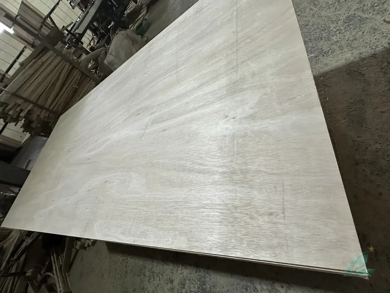 Eucalyptus plywood Vietnam export hardwood grade hcply 005