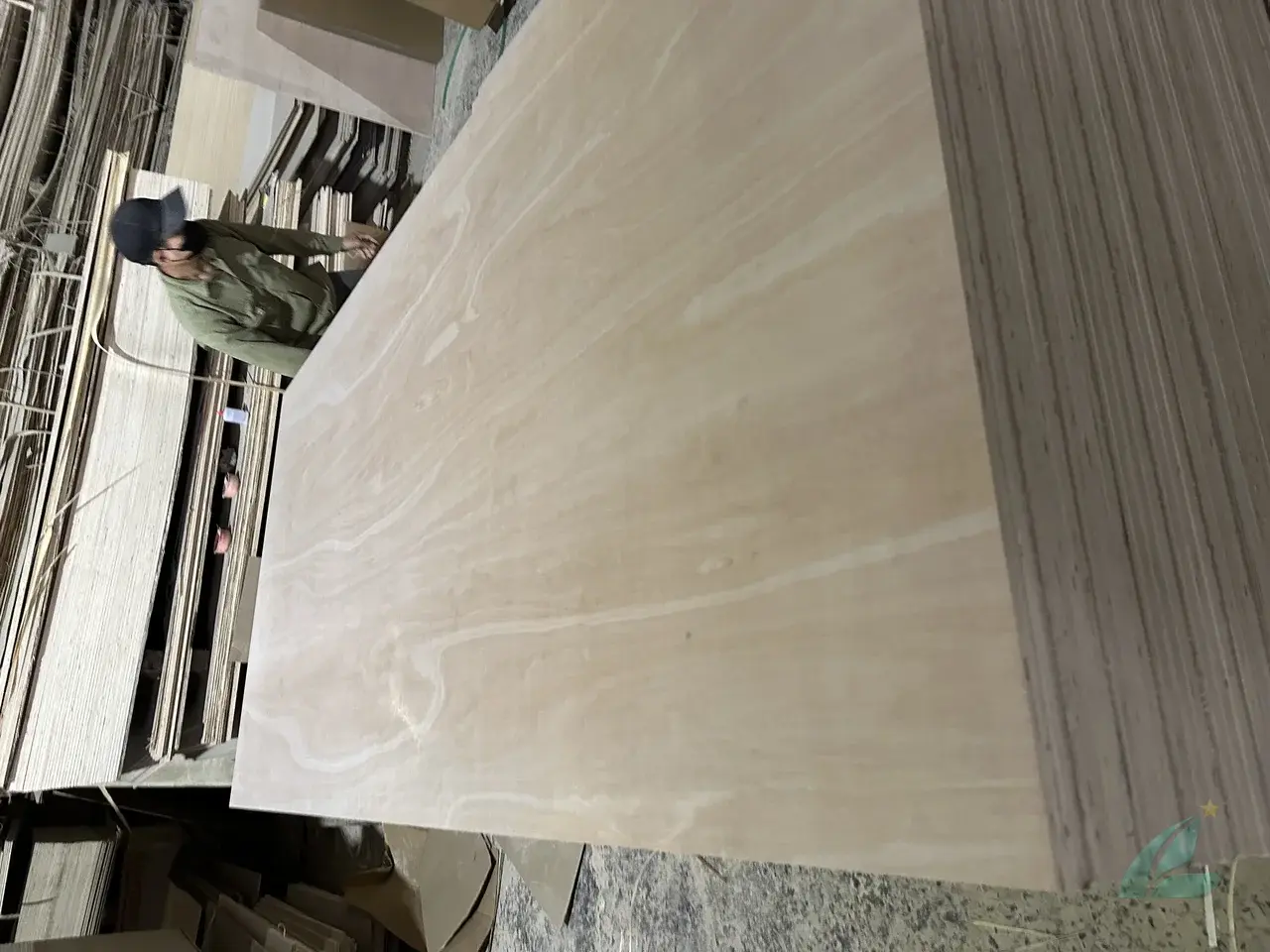 Eucalyptus plywood Vietnam export hardwood grade hcply 006