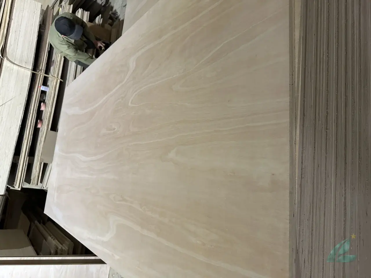 Eucalyptus plywood Vietnam export hardwood grade hcply 007