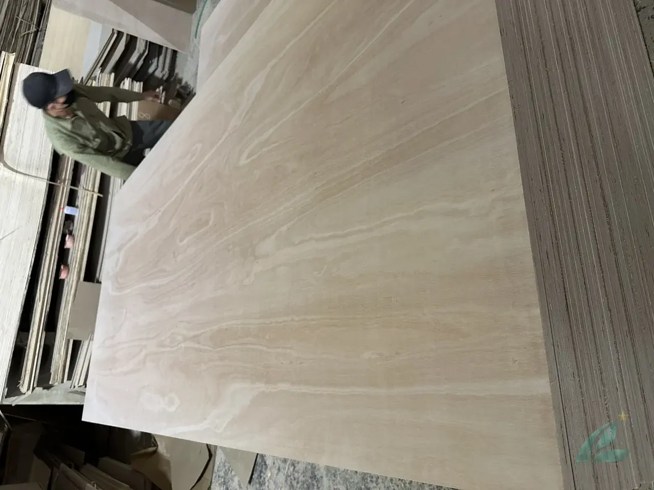 Eucalyptus plywood Vietnam export hardwood grade hcply 008