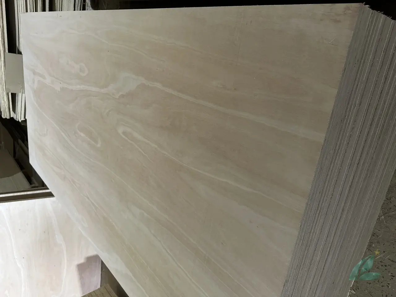 Eucalyptus plywood Vietnam export hardwood grade hcply 009