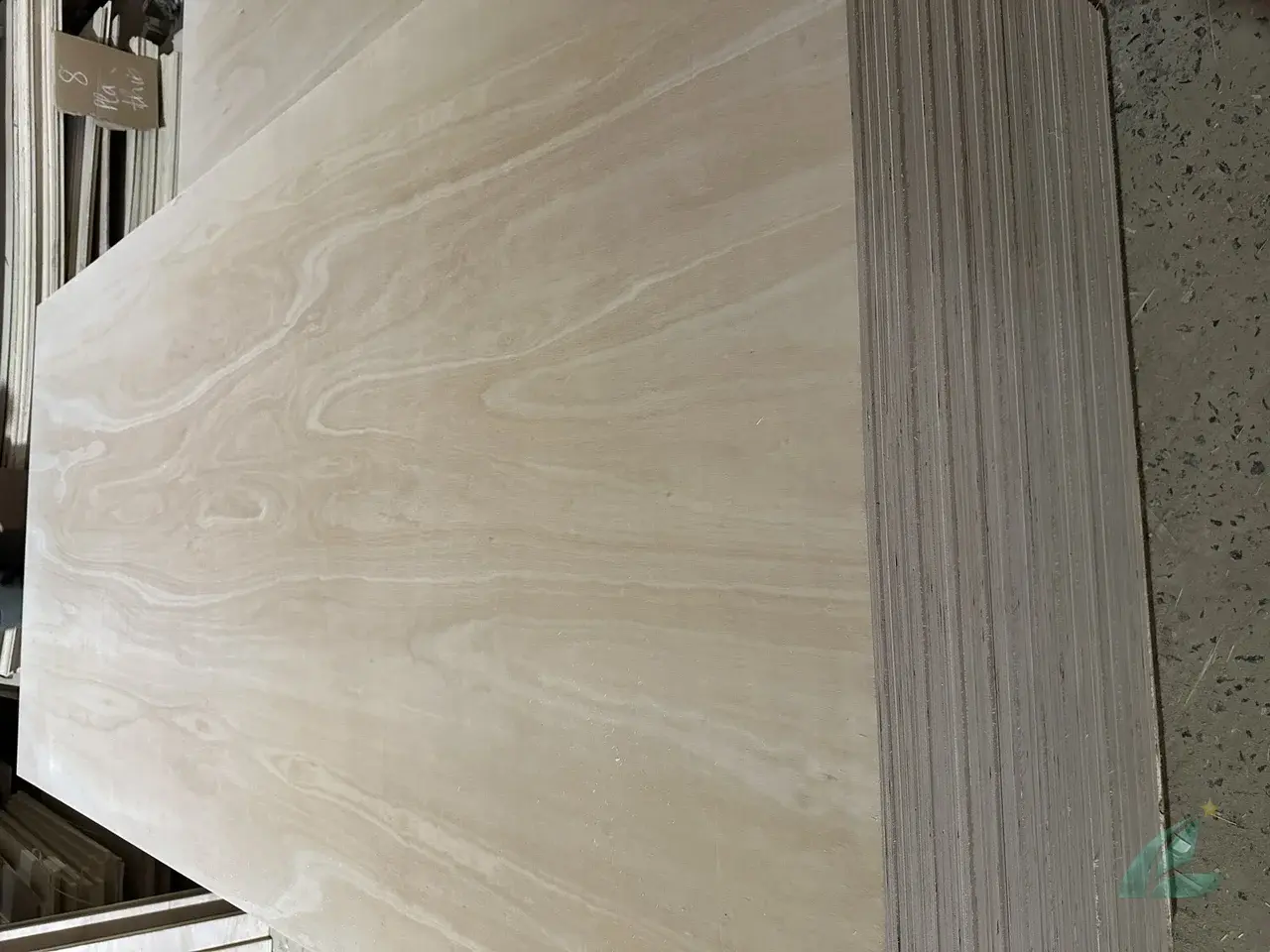 Eucalyptus Plywood Vietnam — HCPLY