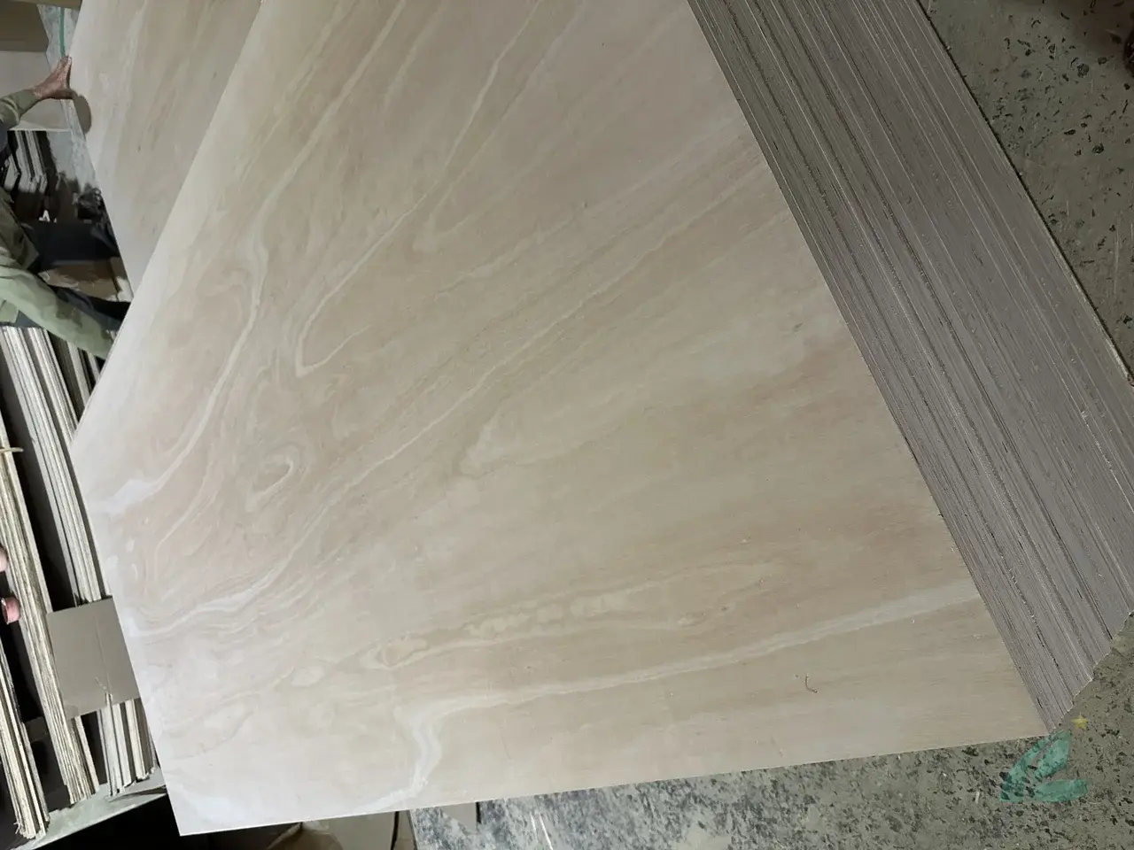 Eucalyptus plywood Vietnam export hardwood grade hcply 011