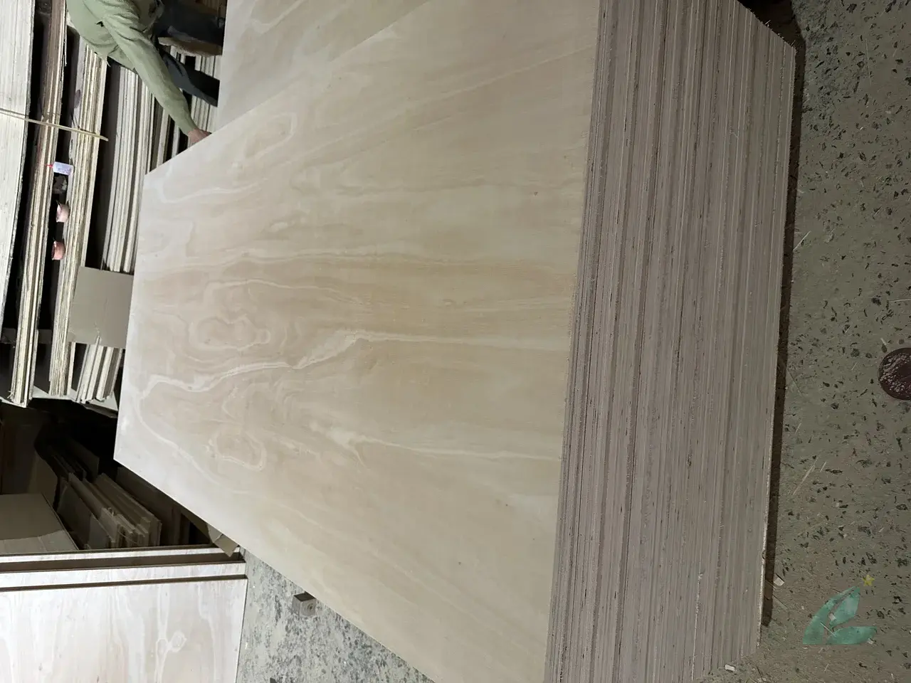 Eucalyptus plywood Vietnam export hardwood grade hcply 012