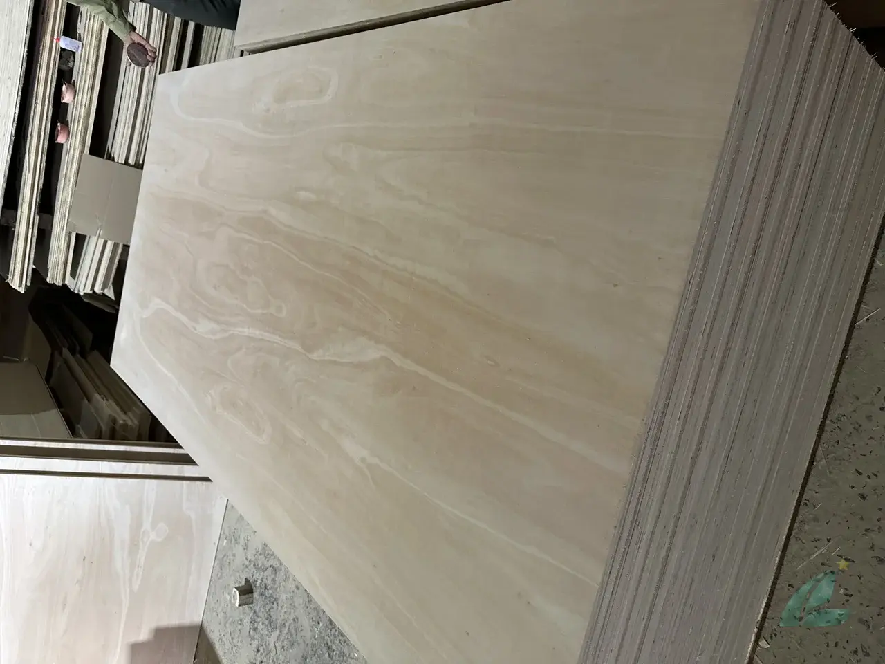 Eucalyptus plywood Vietnam export hardwood grade hcply 013