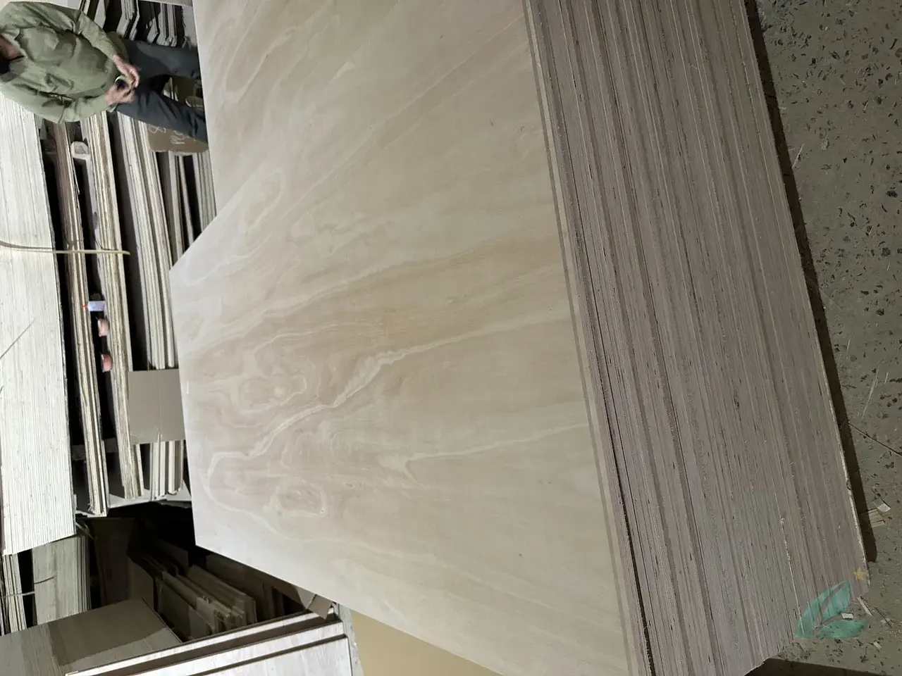 Eucalyptus plywood Vietnam export hardwood grade hcply 014