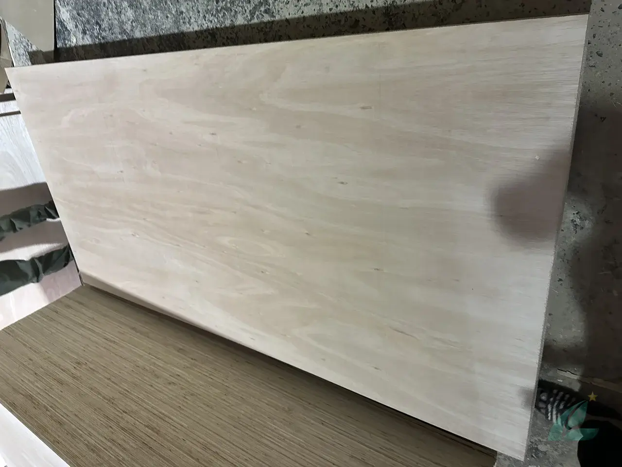 Eucalyptus plywood Vietnam export hardwood grade hcply 016