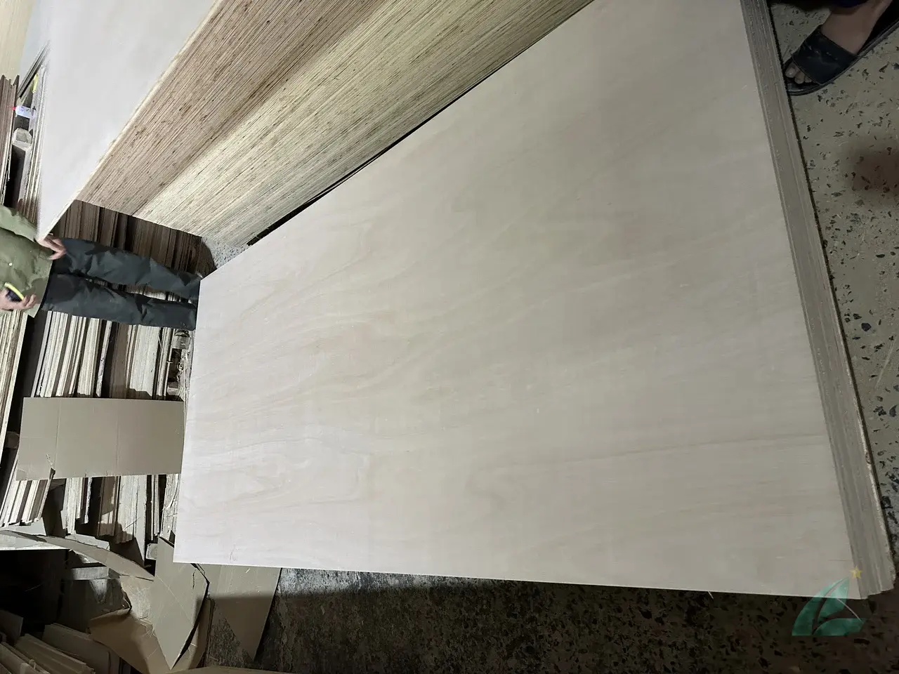 Eucalyptus plywood Vietnam export hardwood grade hcply 017