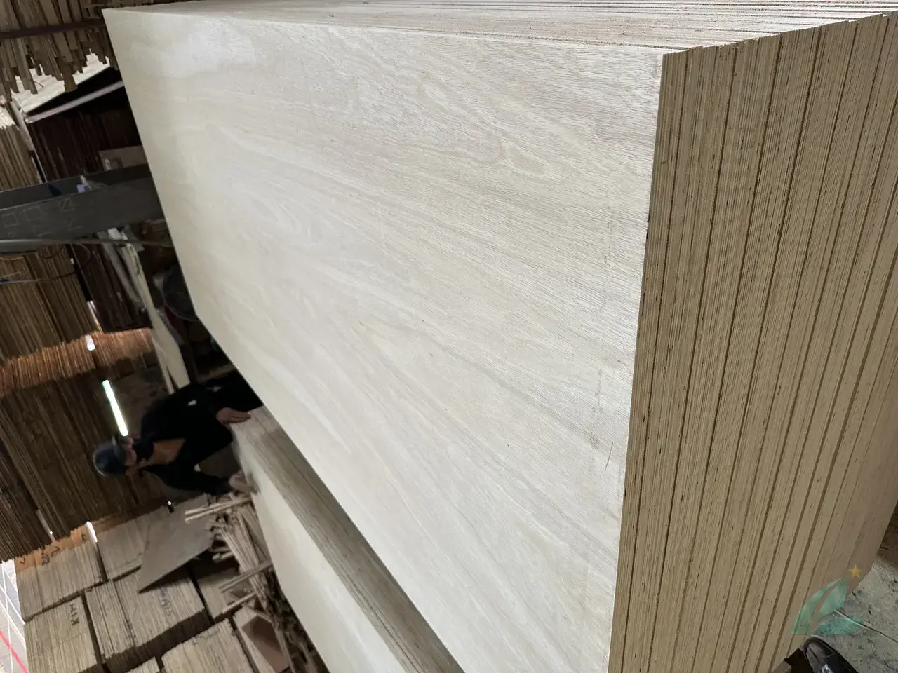 Eucalyptus plywood Vietnam export hardwood grade hcply 024