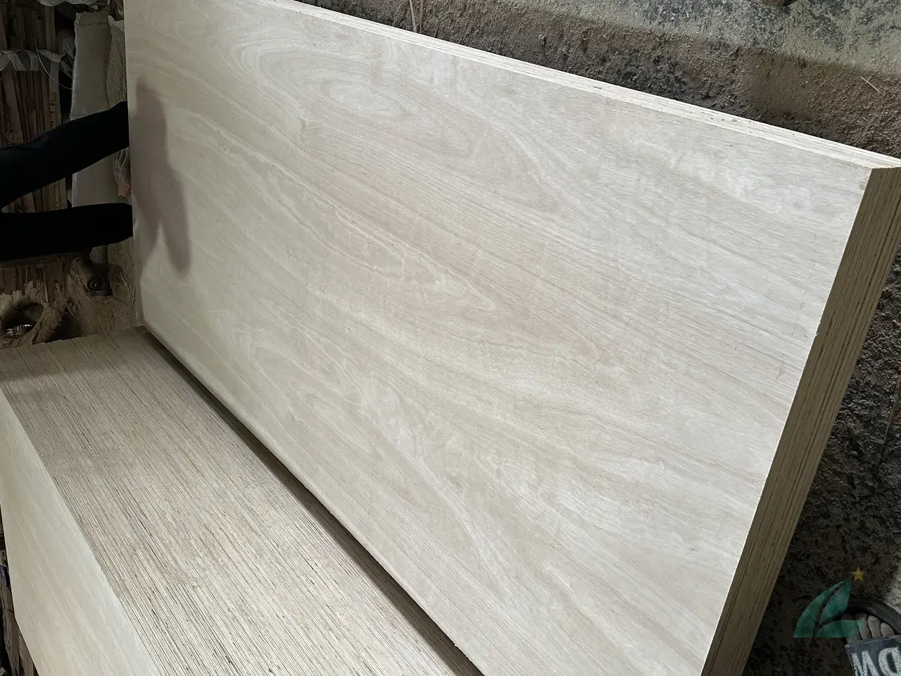 Eucalyptus plywood Vietnam export hardwood grade hcply 026