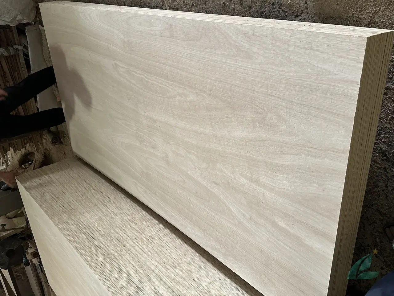 Eucalyptus plywood Vietnam export hardwood grade hcply 027