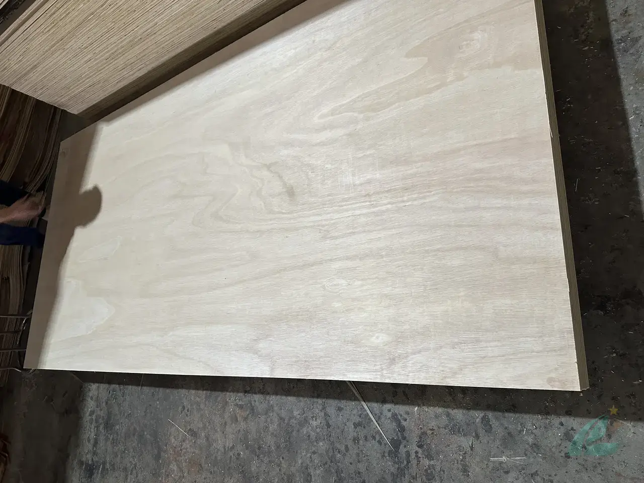 Eucalyptus plywood Vietnam export hardwood grade hcply 029