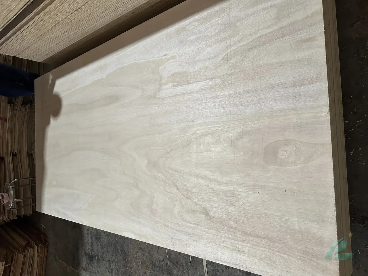 Eucalyptus plywood Vietnam export hardwood grade hcply 031