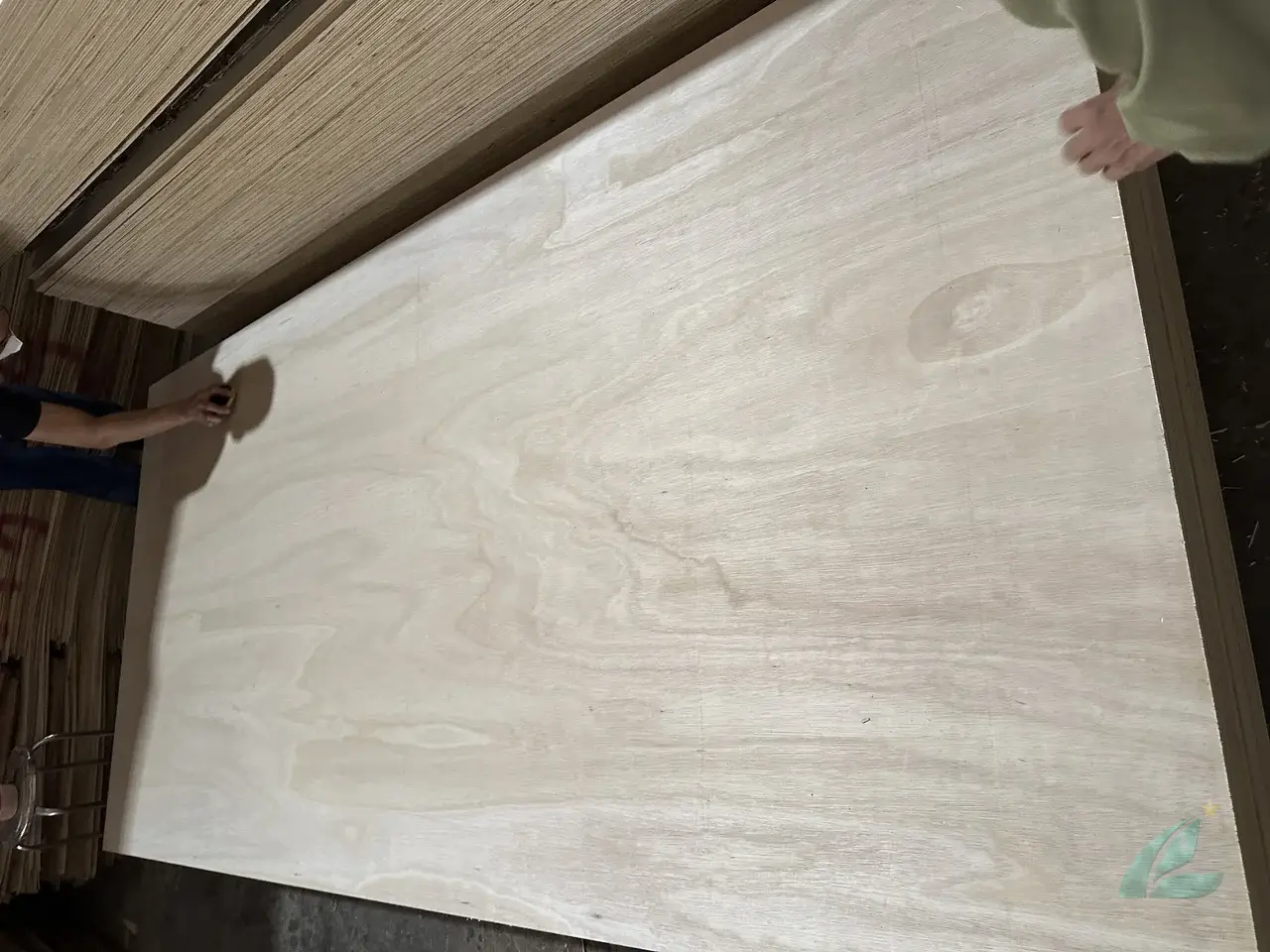 Eucalyptus plywood Vietnam export hardwood grade hcply 032