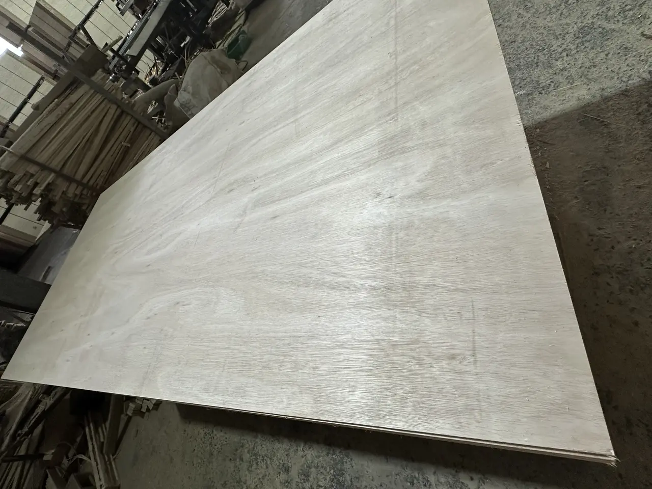 eucalyptus plywood premium export grade hcply core species for construction grade panels