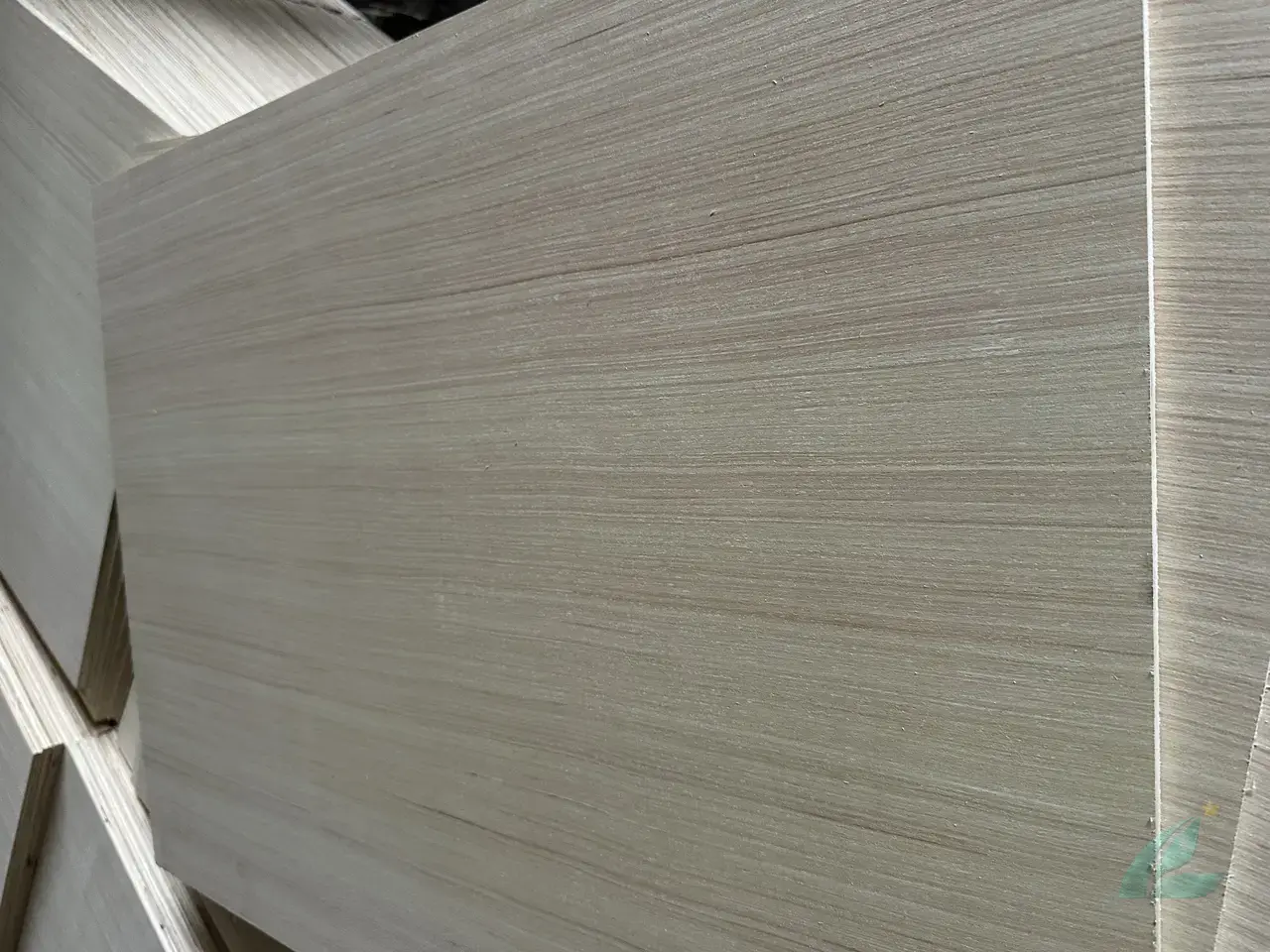 EV Plywood vietnam plywood export hcply