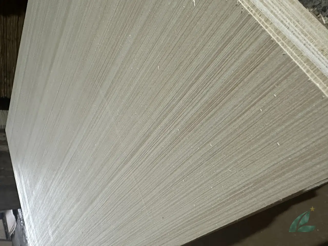 EV plywood surface for furniture manufacturing Vietnam HCPLY