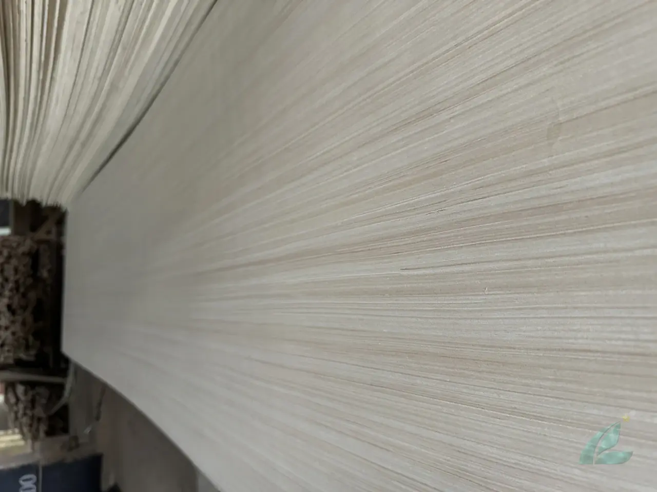 EV Plywood vietnam plywood furniture hcply