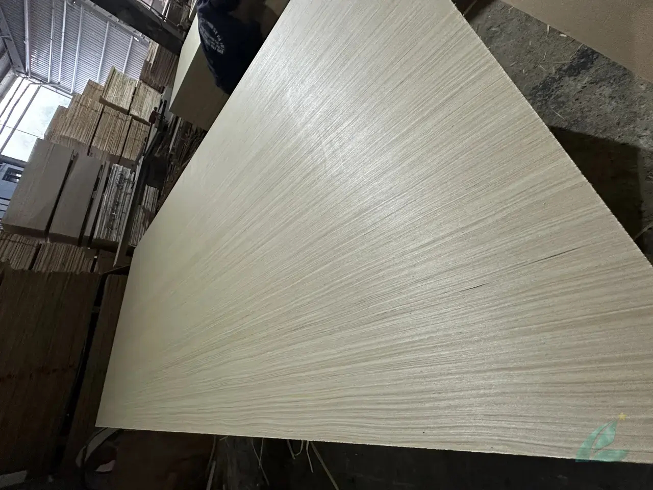 EV plywood Vietnam engineered veneer decorative export hcply 007