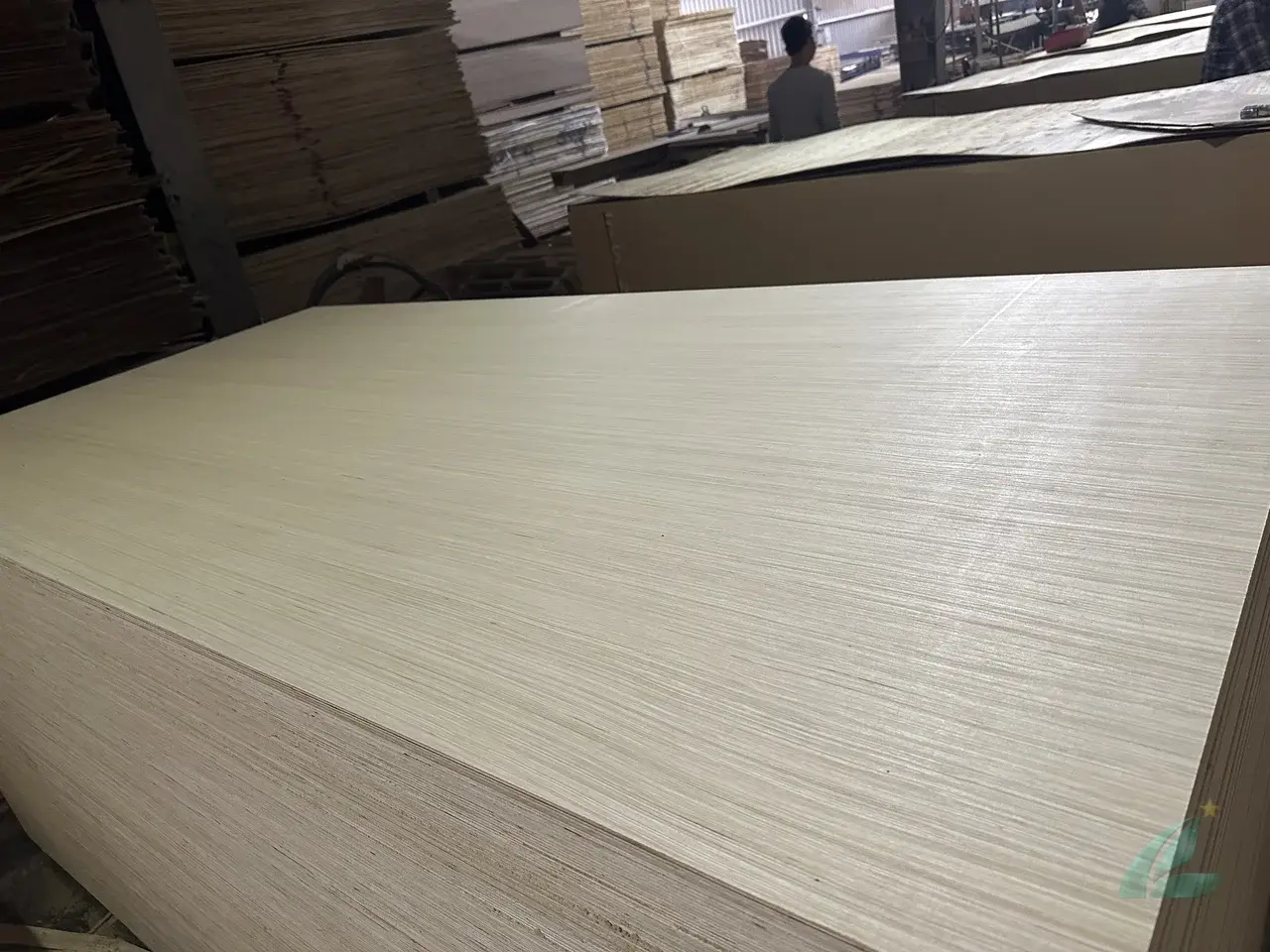 EV plywood Vietnam engineered veneer decorative export hcply 008