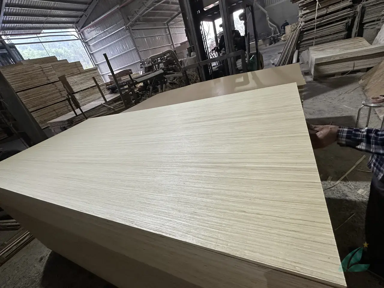 EV engineered veneer plywood vietnam export decorative cabinet grade hcply
