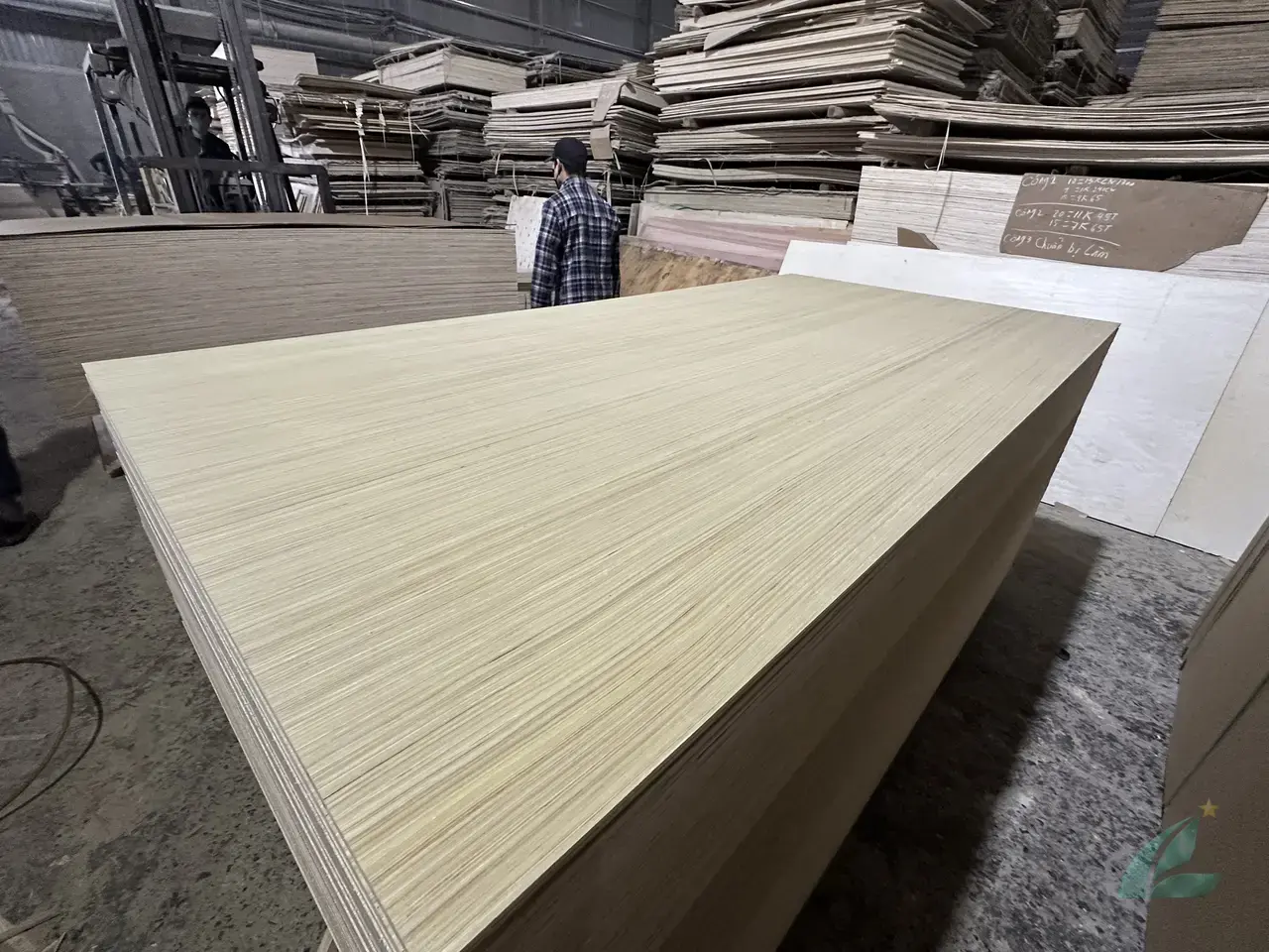 EV plywood Vietnam engineered veneer decorative export hcply 011