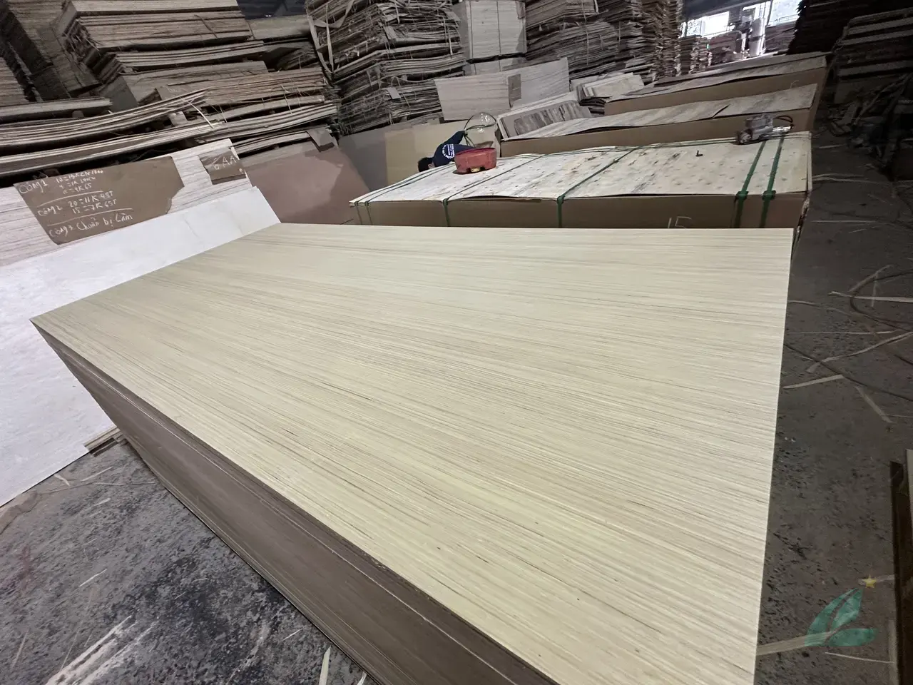 EV plywood Vietnam engineered veneer decorative export hcply 012