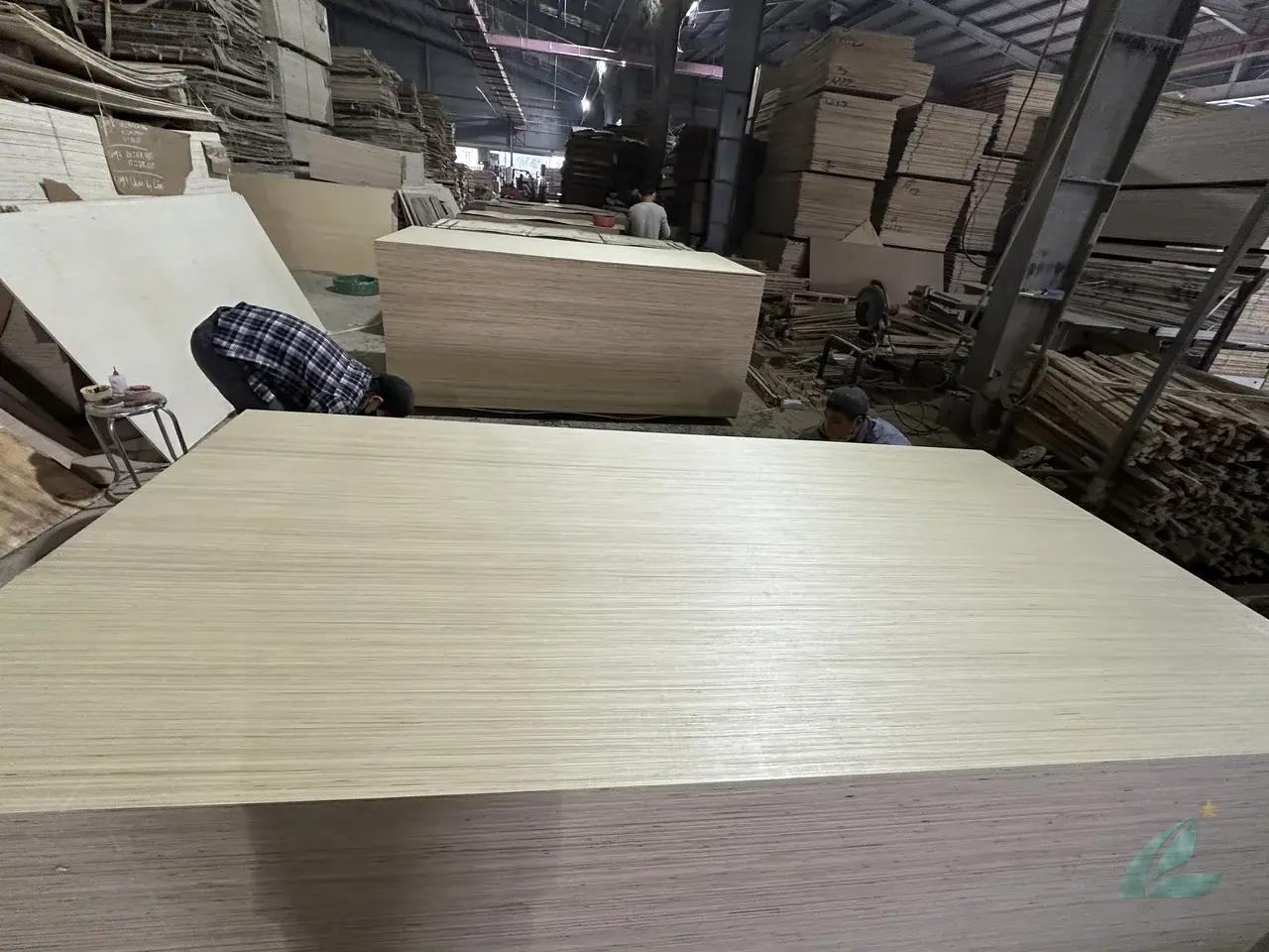 EV plywood Vietnam engineered veneer decorative export hcply 013