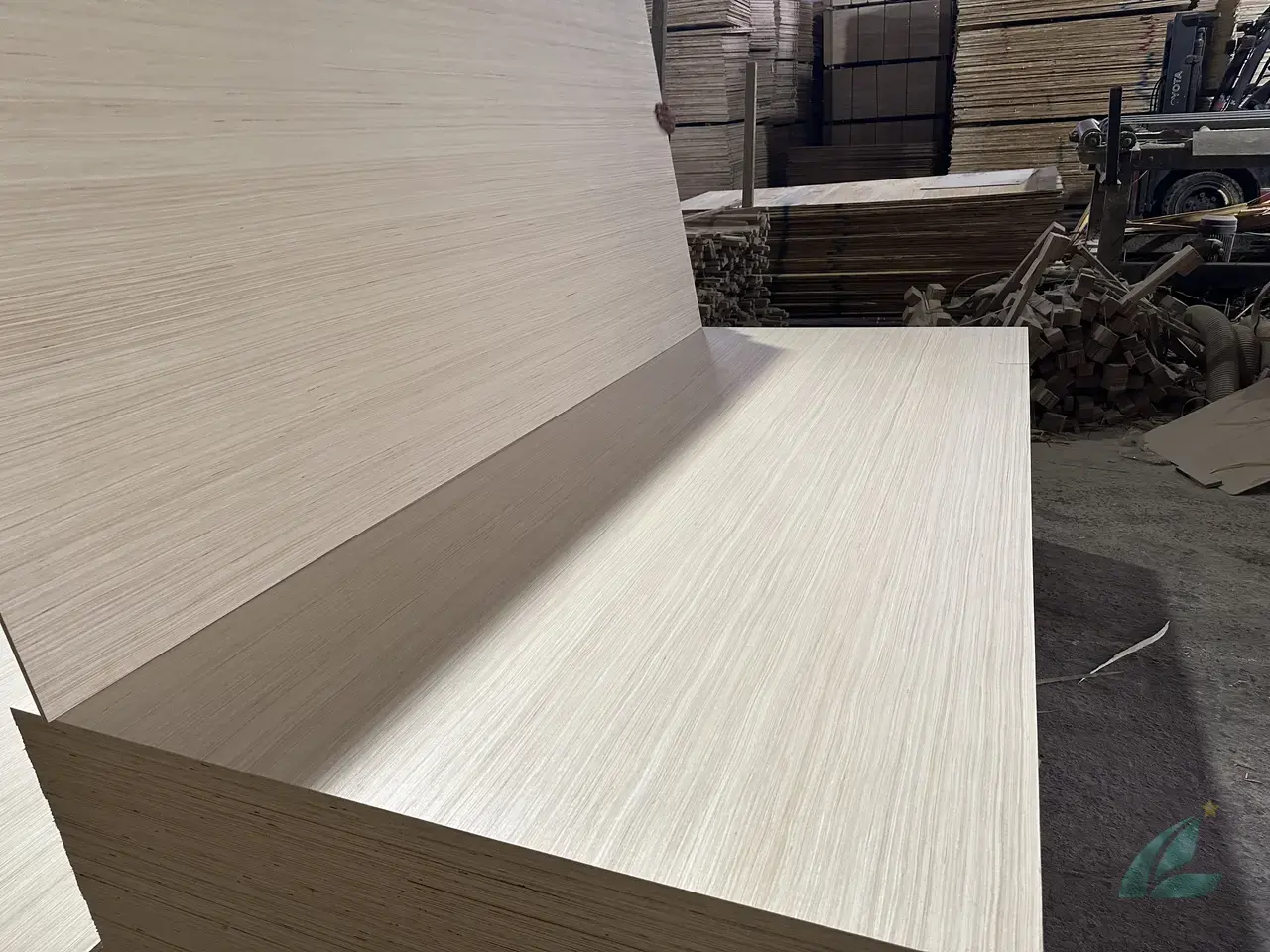 EV Plywood Vietnam — HCPLY