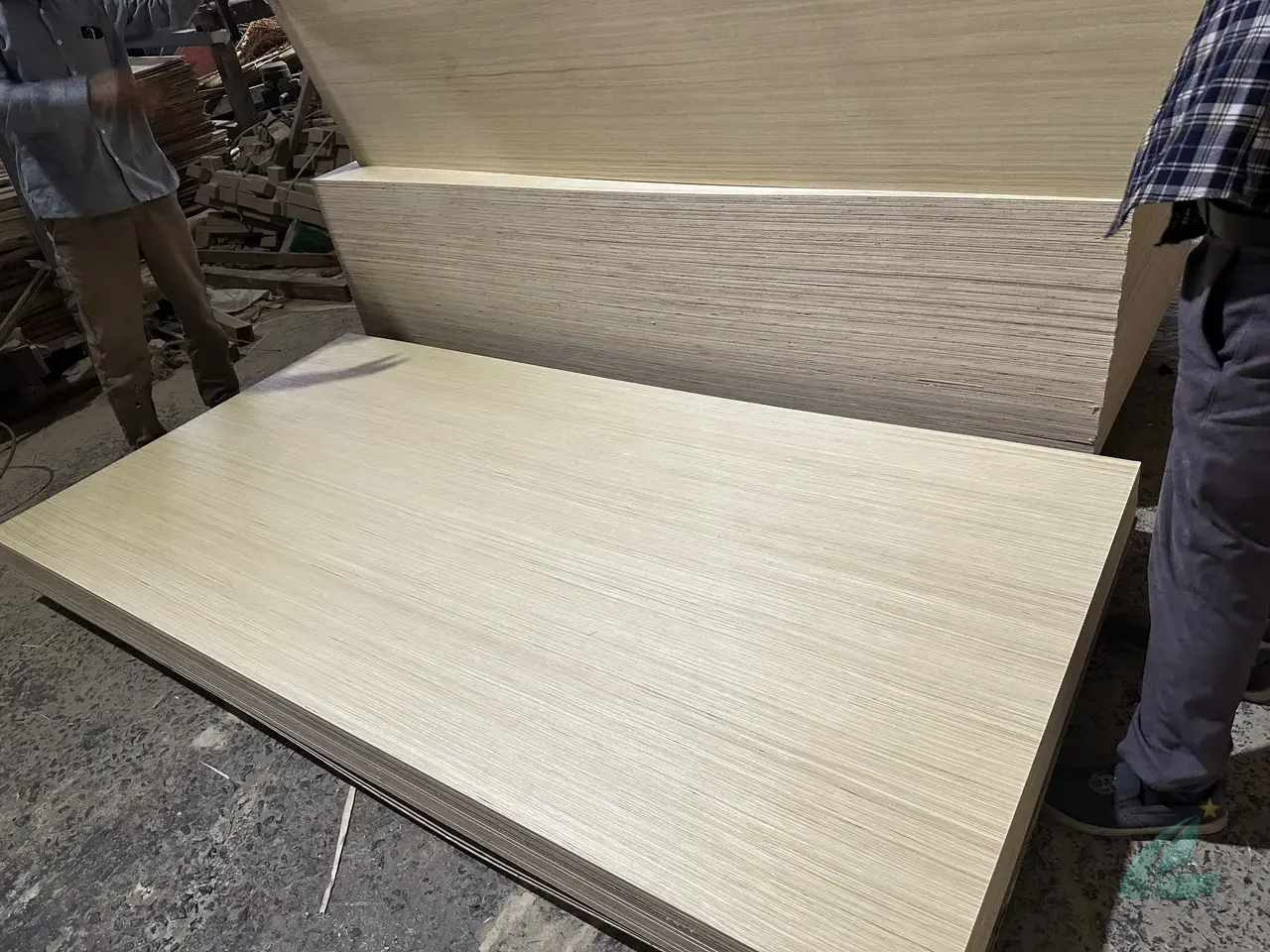 EV plywood Vietnam engineered veneer decorative export hcply 015
