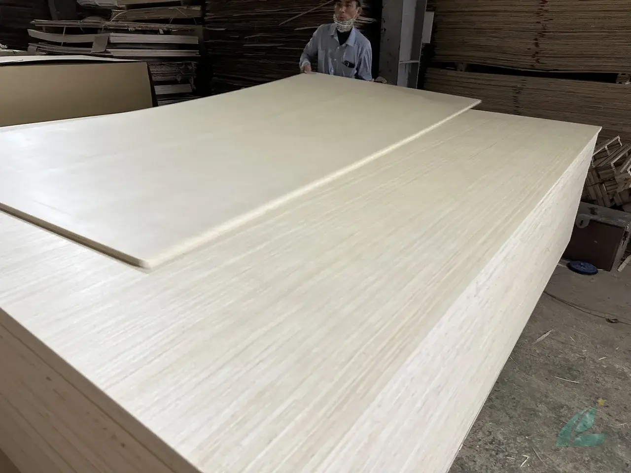 EV plywood Vietnam engineered veneer decorative export hcply 016