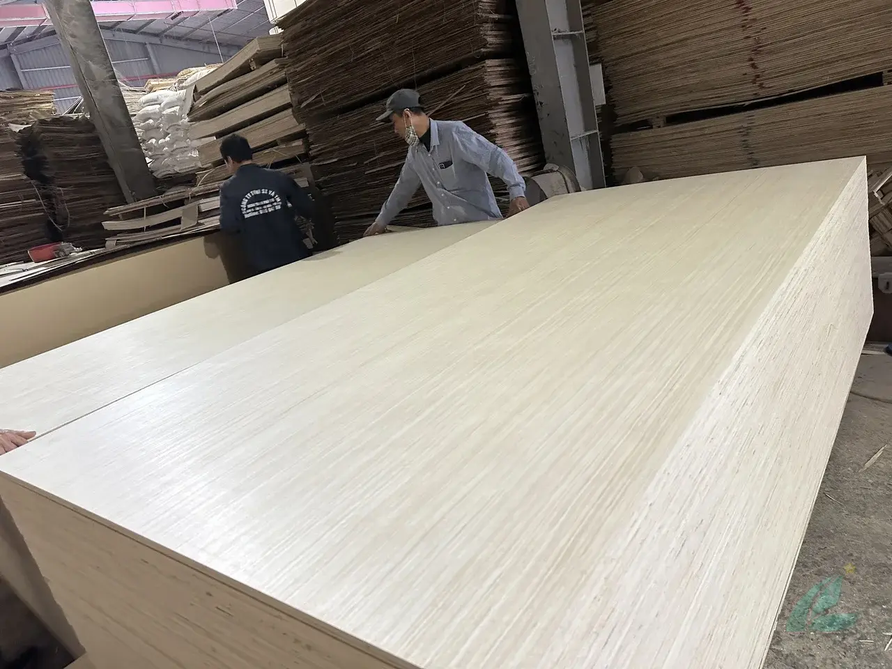 EV plywood Vietnam engineered veneer decorative export hcply 017