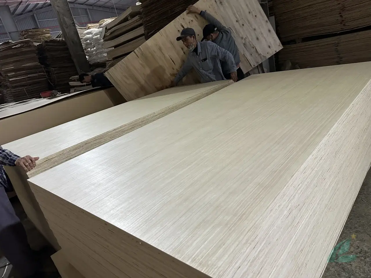 EV plywood Vietnam engineered veneer decorative export hcply 018