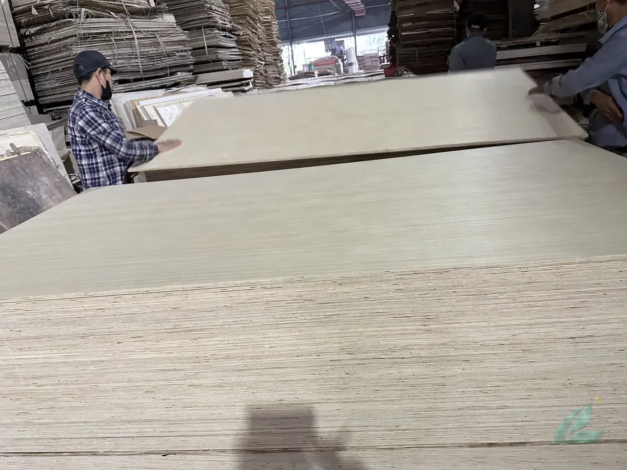 EV plywood Vietnam engineered veneer decorative export hcply 019