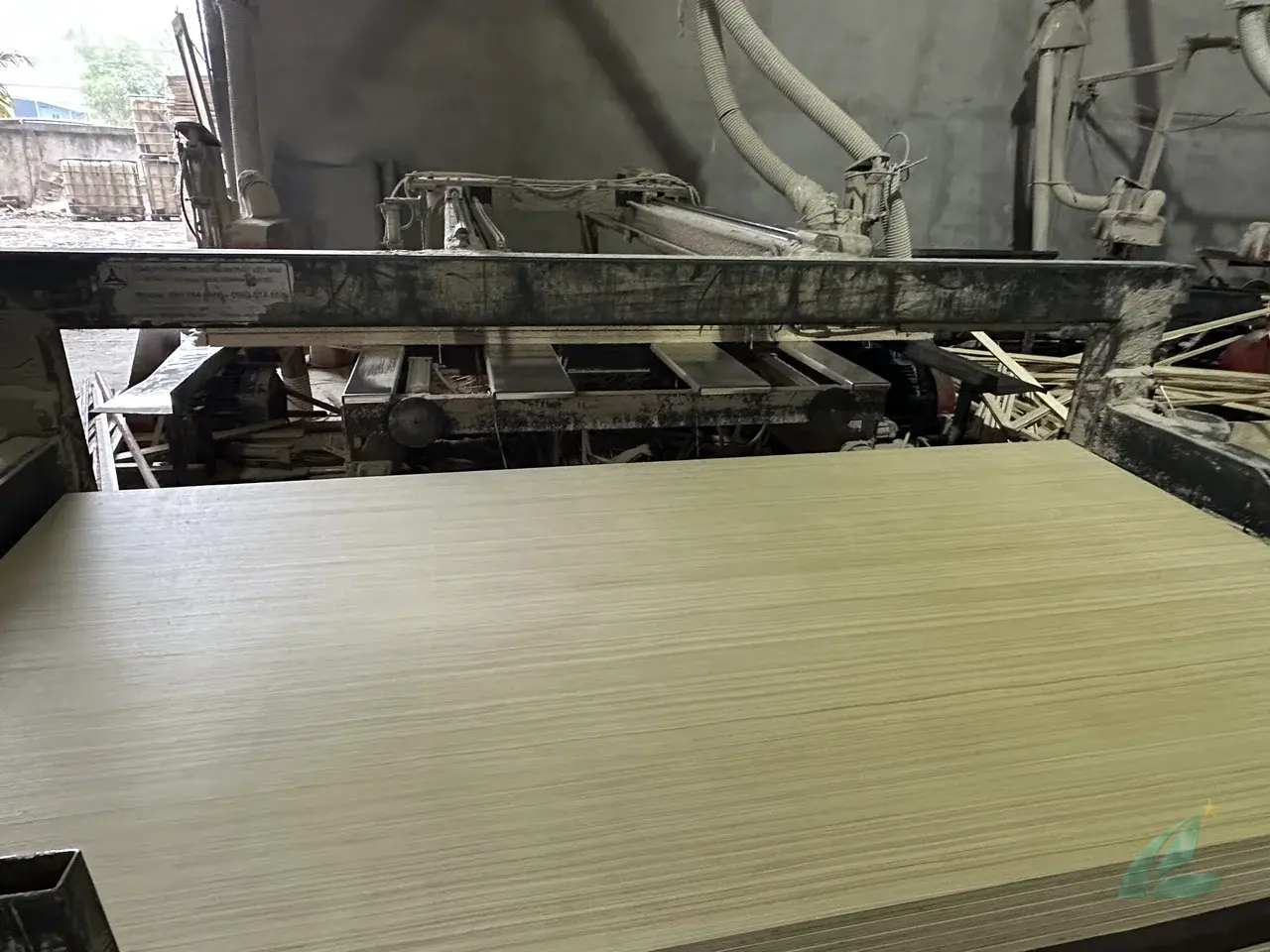 EV plywood Vietnam engineered veneer decorative export hcply 021